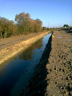 Restauration-création d'un réseau hydrologique aux Sentiers du Marais à Saint-Jean-de-Monts