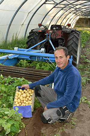 Dominique Fradin, producteur maraîcher à Saint-Hilaire-de-Riez